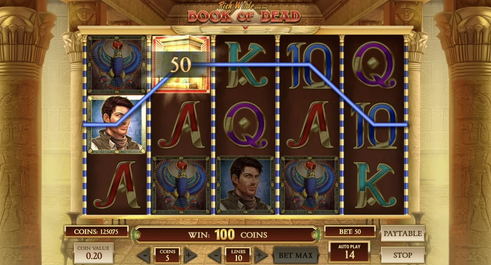 Book of Dead Slot